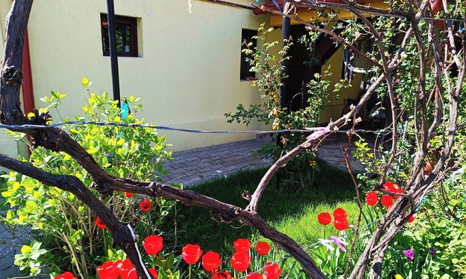 Cisnadie House | Tranquil building with WiF and parking, in Cisnădie, near Dracula's Castle.