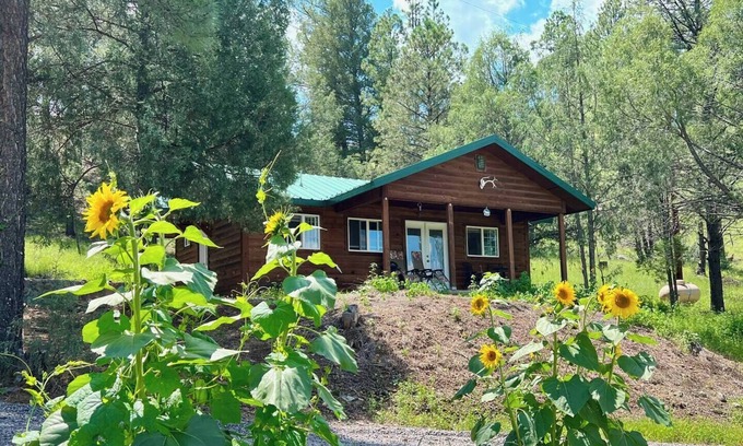 San Lorenzo Cabin | Tranquil escape nestled in the forest on a beautiful horse ranch.