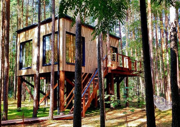 gmina Puszcza Marianska Apartment | Tree Houses Olszanka