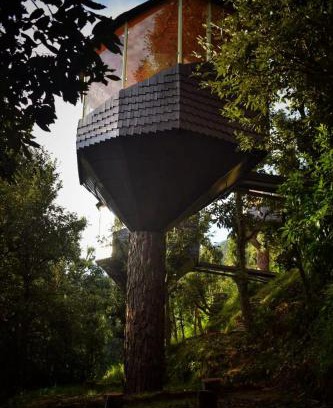 Almora Resort | Treecasa Resort