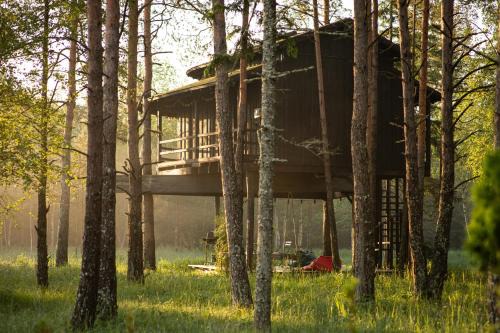 Saue Parish Cabin | Treehouseestonia