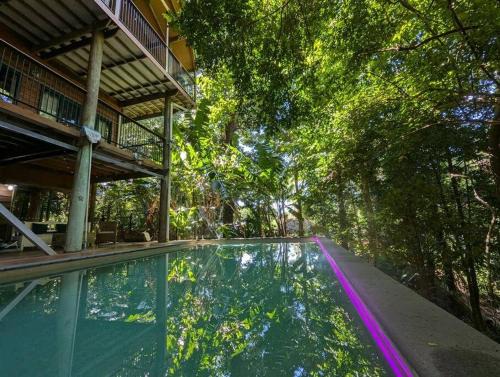Bingil Bay House | TreeTops by the Sea