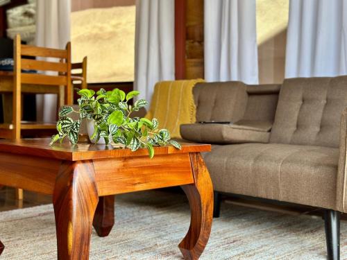 Barrio Dora House | Tribu Bungalow 4 Centrally located and comfortable