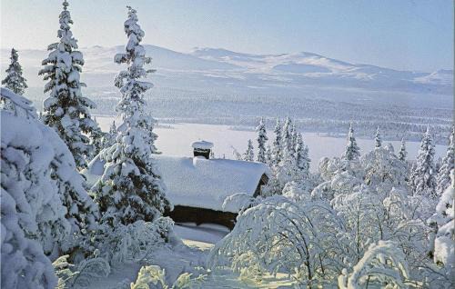 Nord-Fron House | Trollbu Granåsenfefor