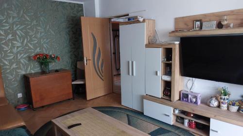 Tulcea Apartment | Tulcea E3