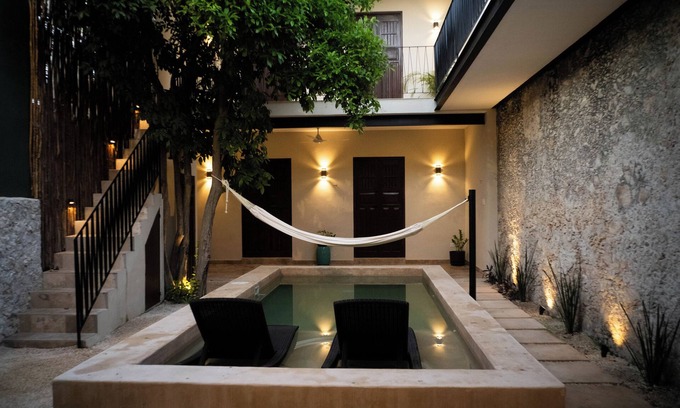 Centro House | Tulip House