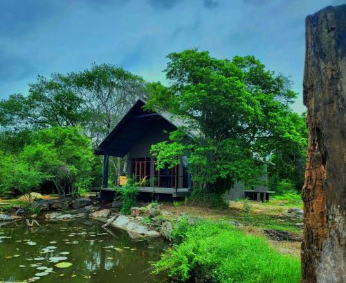 Nochchiyagama Resort | Turtle Pond Wilpattu