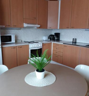 Maenttae-Vilppula Apartment | Tuulanmajoitus