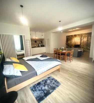 Pisek Apartment | Ubytování v srdci Písku