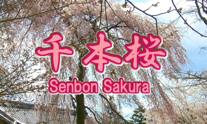 Uji House | Uji - House - Vacation STAY 9753