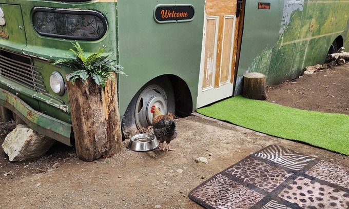 Southern Apartment | Unique, Exciting Bus Located on 63 acres with a Cosy woodheater. Luxury.