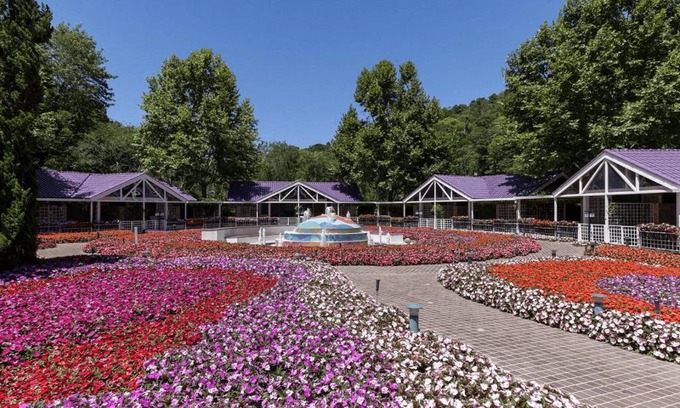 Terra Preta Resort | Unique Garden