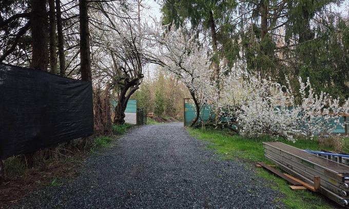 Courtenay Cabin | unique loft space close to town, skiing, biking and hiking