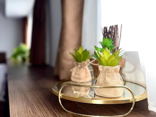 Bitola Apartment | V&P Apartments