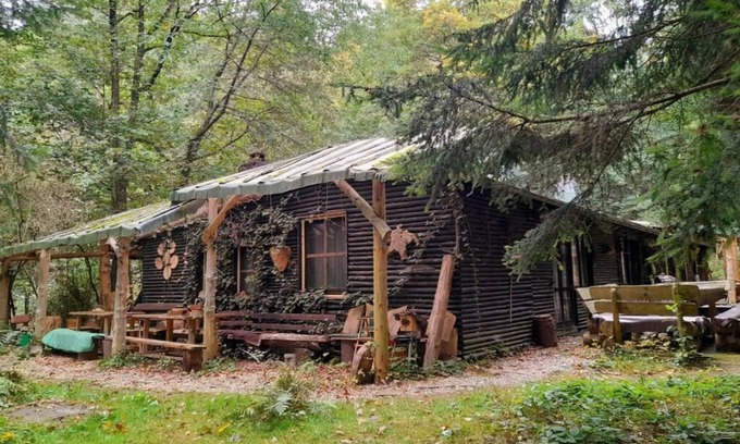 Bertsdorf-Hoernitz House | Vacation apartment "Squirrel's Nest" in the Wild Auwaldhaus, Zittau Mountains