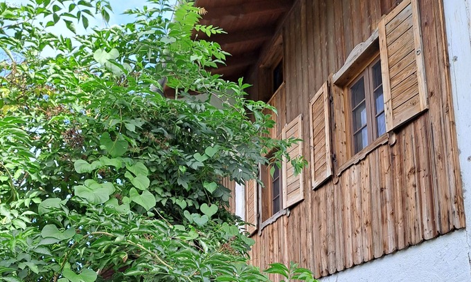 Oberwarngau Apartment | Vacation apartment Sunseid'n - Holiday apartment Thurnhuber