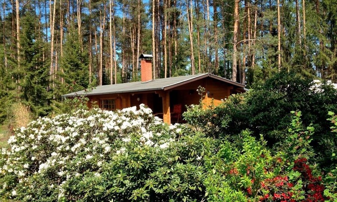 Suderburg House | Vacation home for 4 guests with 55m² in Böddenstedt (20539)