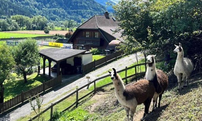 Niederwolz House | Vacation home Lama by Interhome