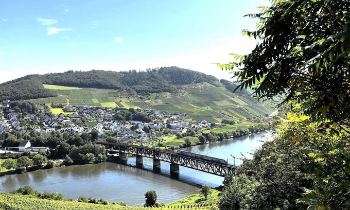 Briedel House | Vaction on the Moselle