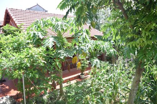 Gia Vien Bed & Breakfast | Van Long Family Homestay