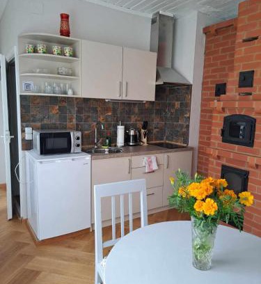 Zarasai Apartment | Vasarnamis Zarasuose - Vyšnia