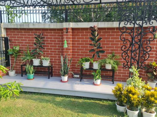 Vedic Village Villa | Vedic Village aquavilla raivilla