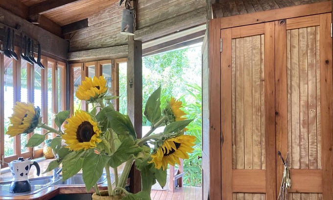 Bollier House | Vegetarian Retreat