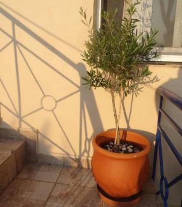Velika Apartment | Velika seaside Apartment