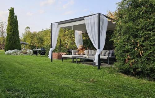 Armaseni Noi House | Verebes Cottage with garden