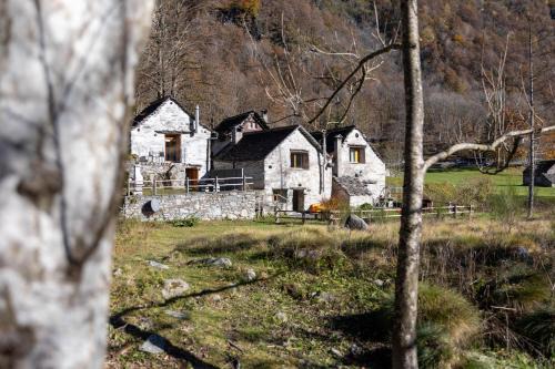 Frasco Ski Chalet | Verzasca Lodge Elma