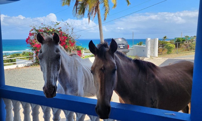 Villa Borinquen House | Vieques Ocean View House & walk to beach 7br - 6bth Pool table & Ping Pong