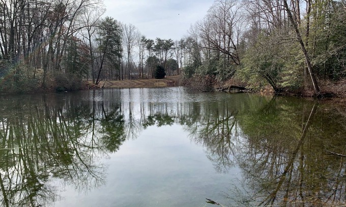 Oldhams Apartment | View Peaceful Pond while lounging in this open studio apartment!