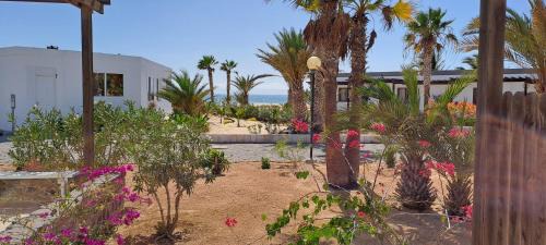 Rabil Villa | Vilas Praia de Chaves - sol y mar STANDART