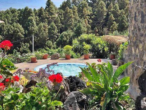 Icod de los Vinos Villa | Villa ∙ 1 bedroom ∙ 4 guests