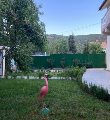 Imouzzer du Kandar Villa | Villa ain soltan