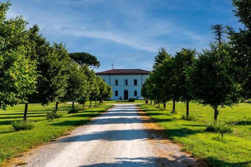 Oriolo dei Fichi Bed & Breakfast | Villa Archi