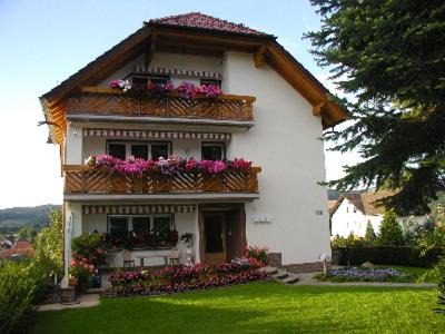 Bischhausen Apartment | Villa Bellevue