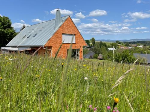 Roprachtice Villa | Villa Chalet Bledule-wellness & sauna