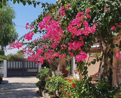 San Lorenzo House | Villa Clarissa a San Lorenzo