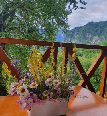 Shale House | Villa Davisol
