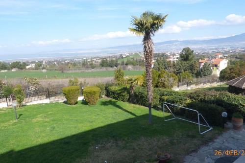 Trilofon Apartment | Villa Georgius