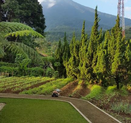 Bogor Villa | Villa gunung salak indah