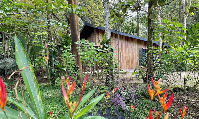 Los Angeles House | Villa Iguana - nice house for Resting Under the Trees