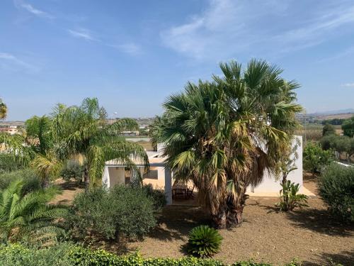 Contrada Fiori Sud Villa | Villa Le Dune Cocus