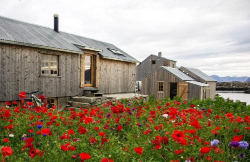 Bostad Villa | Villa Lofoten - Fisherman's cabin