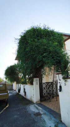 Furnari Apartment | Villa Maria