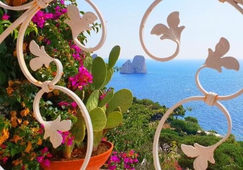Marina Piccola House | VILLA MARINA PICCOLA ai FARAGLIONI