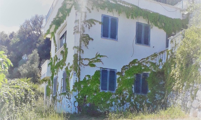 Vieste Villa | Villa near the sea with panoramic view with garden terrace and barbecue