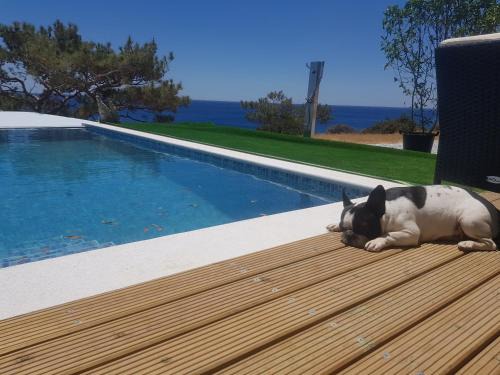 Achlia Villa | villa Ocean Island Isabella
