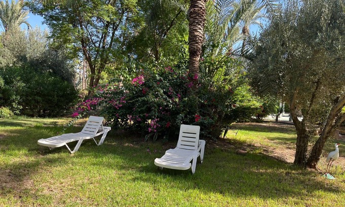 Palmeraie Villa | Villa Palmeraie Well occupied access to swimming pool private park